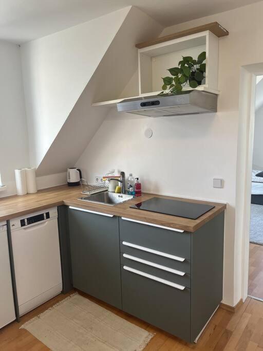 Cozy City Center Apartment 格拉茨 外观 照片